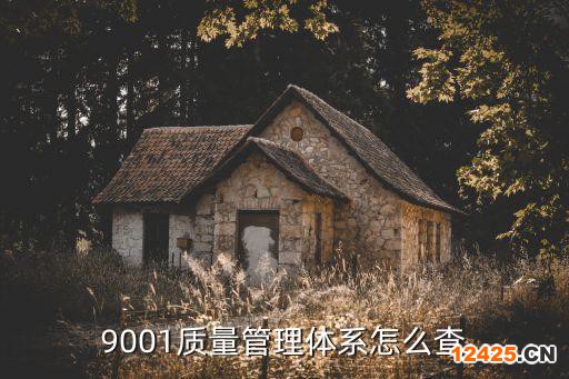 9001質(zhì)量管理體系怎么查