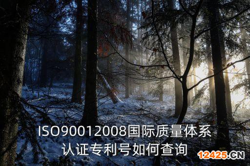 ISO90012008國(guó)際質(zhì)量體系認(rèn)證專利號(hào)如何查詢