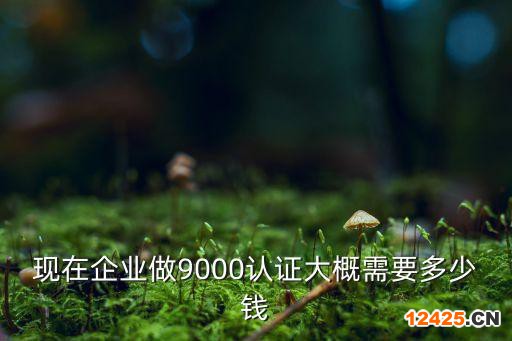 現(xiàn)在企業(yè)做9000認(rèn)證大概需要多少錢