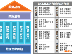 DCMM數(shù)據(jù)管理能力成熟度評估