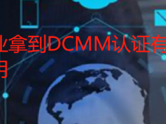 企業(yè)拿到DCMM認證有什么用