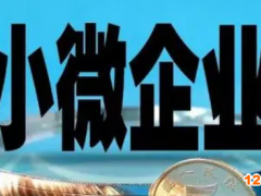 2023年小微企業(yè)稅收優(yōu)惠政策