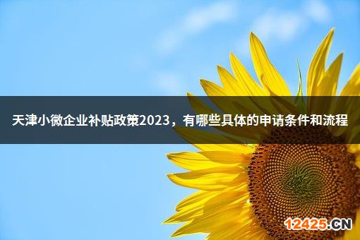 天津小微企業(yè)補貼政策2023.有哪些具體的申請條件和流程-1