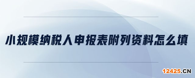 小規(guī)模納稅人申報表附列資料怎么填