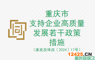 重慶市支持企業(yè)高質(zhì)量發(fā)展若干政策措施（渝發(fā)改體改〔2024〕17號(hào)）(圖1)